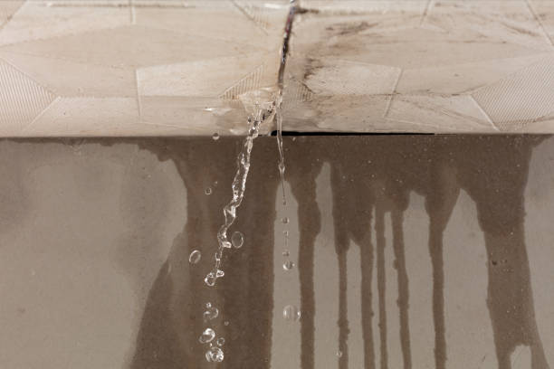 Professional Structural Drying technician working in Grand View, ID